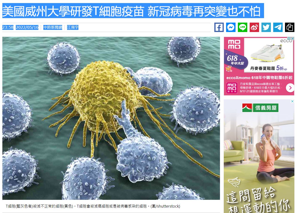 點我看大圖