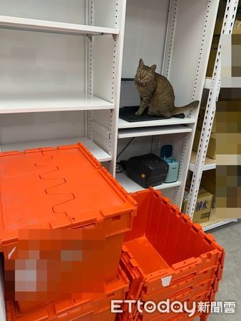 領取網購「毛很多店員」坐櫃台摸魚屁股壓資料罷工:自己找啦~