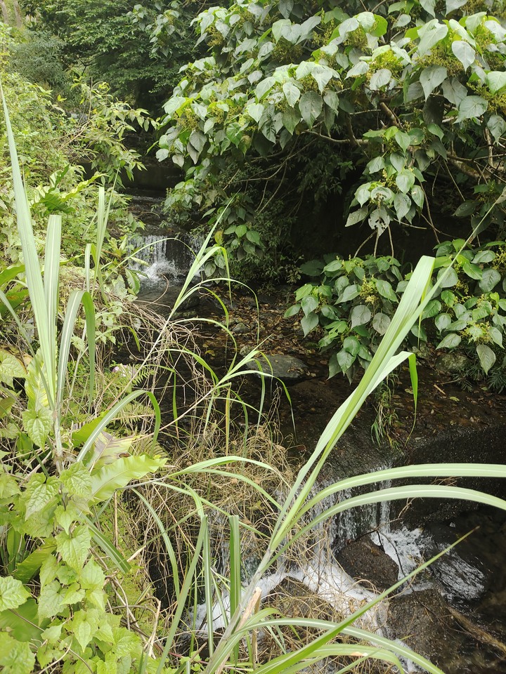 小折漫遊 | 渭水之丘 | 鳥瞰蘭陽平原~O型