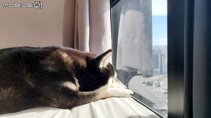 【開箱】微美式鄉村風2大1小1毛孩暖居