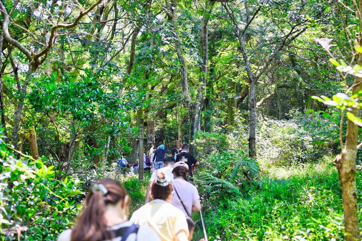 【旅遊文】盛夏消暑好去處 – 興福寮花卉綜合農場一日遊