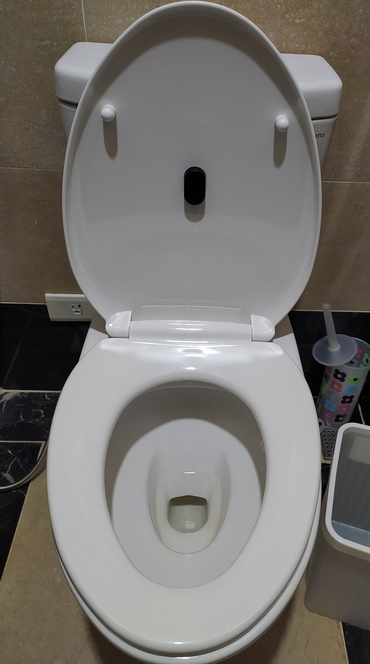沖水鈕在上方的馬桶安裝自動沖水套件
