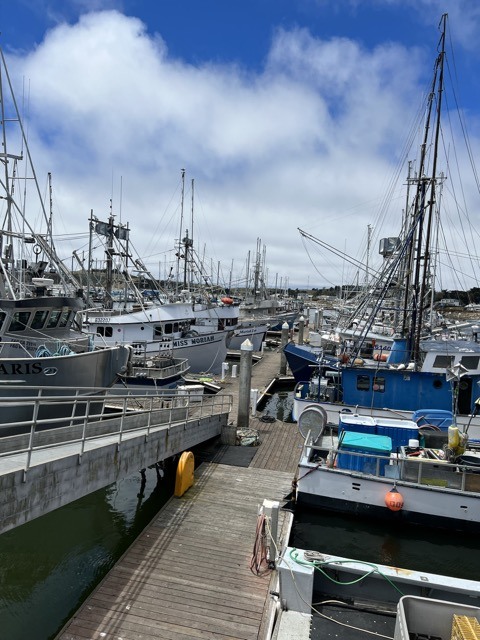 (2022夏) 🚴🇺🇸 半月灣 Half Moon Bay 夏日漫騎 (2022/7/7)