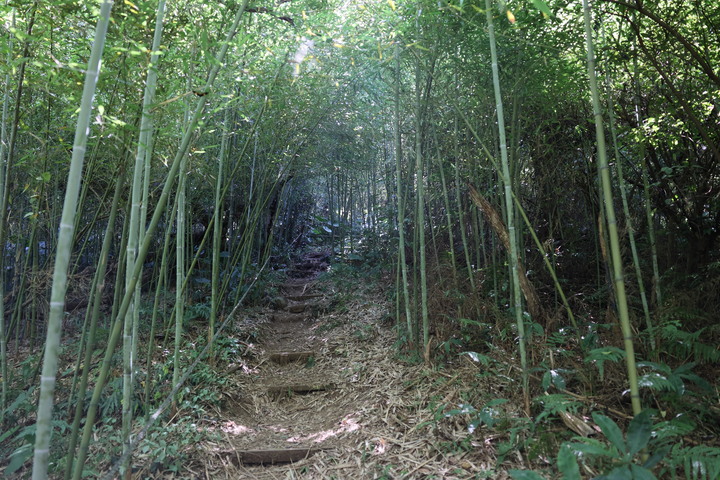 【旅遊文】盛夏消暑好去處 – 興福寮花卉綜合農場一日遊