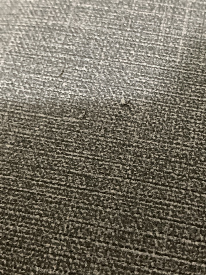 無敵貓爪或永恆貓抓皮