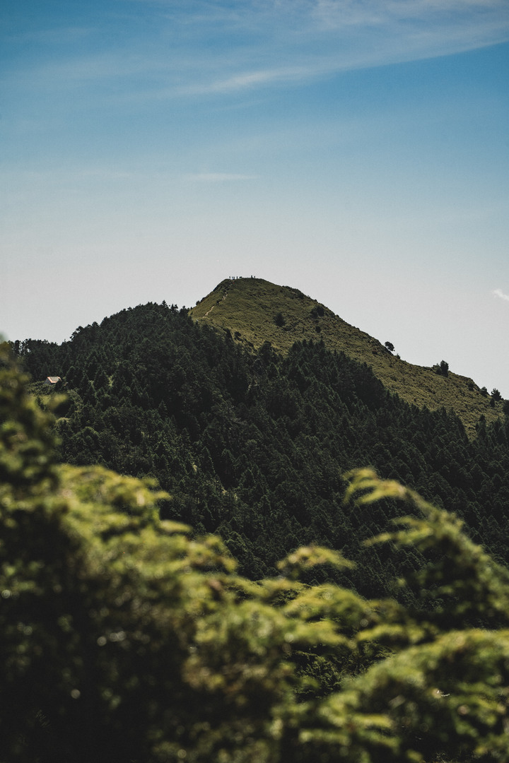 點我看大圖 【百岳行-武陵四秀】-- 旅遊/拍攝