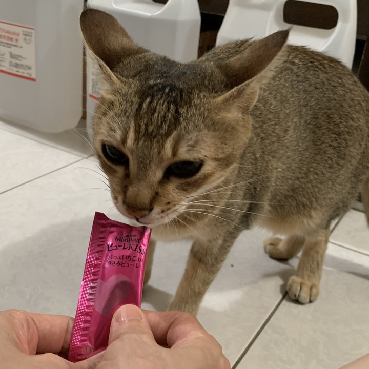 成人之美不如安分守己