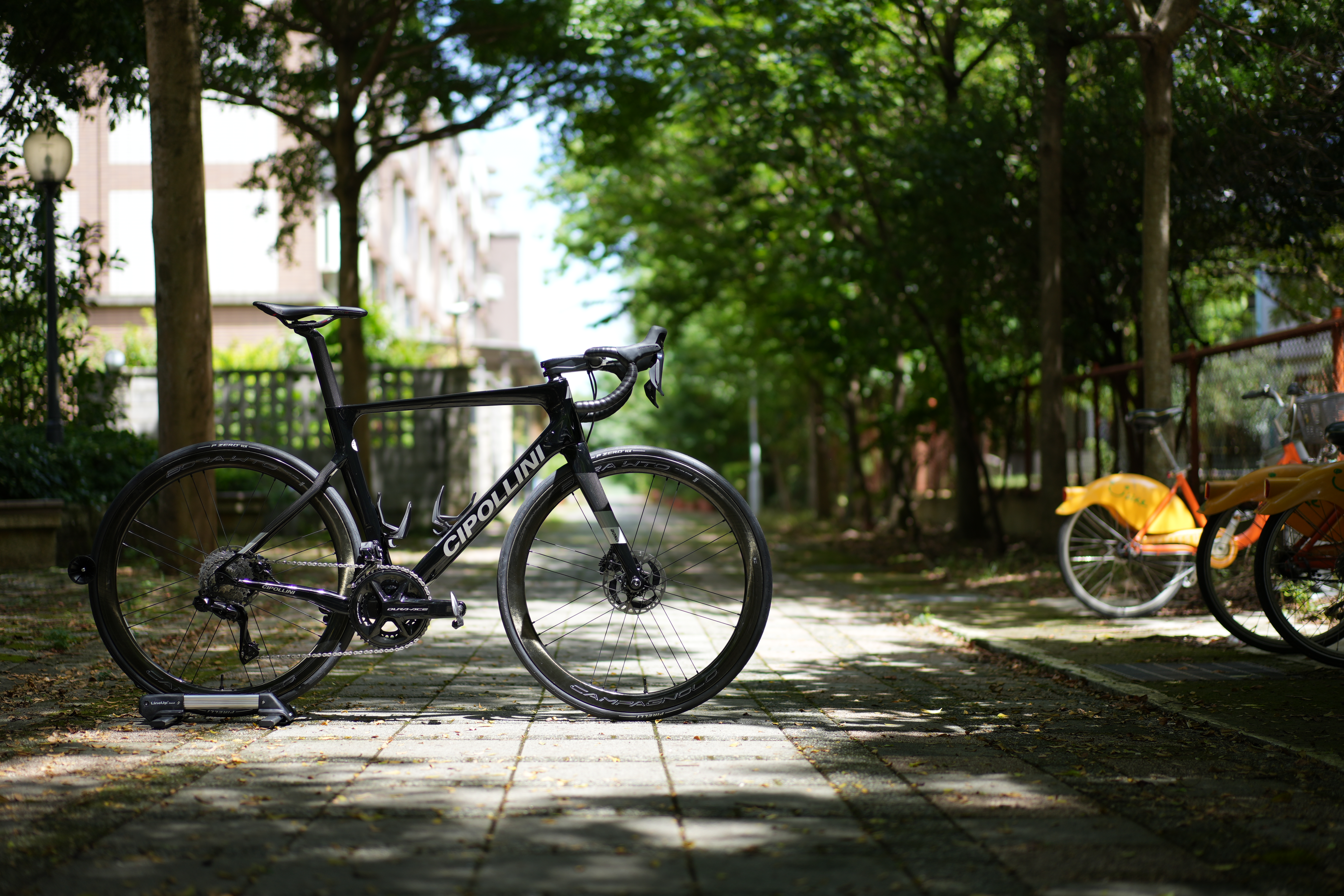 [開箱]我的第十二台公路車 CIPOLLINI BOND 2
