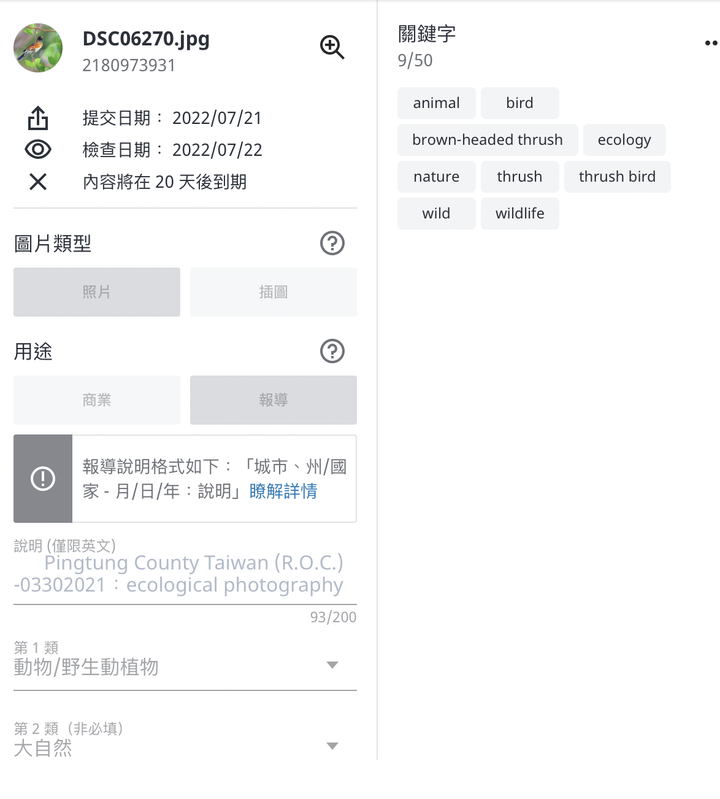 感覺shutterstock審查非常龜毛
