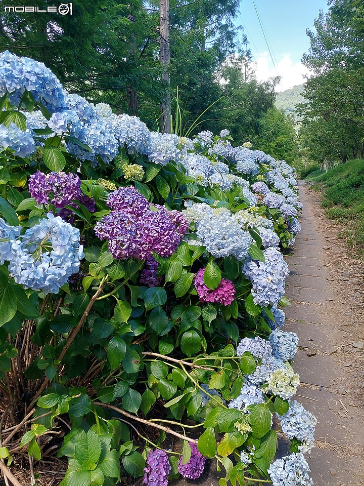 武陵二秀~桃山+池有山