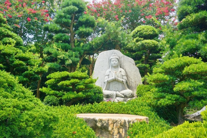 粉色紫薇花海綻放！欣賞日式庭院與精緻園藝交織的世外桃源