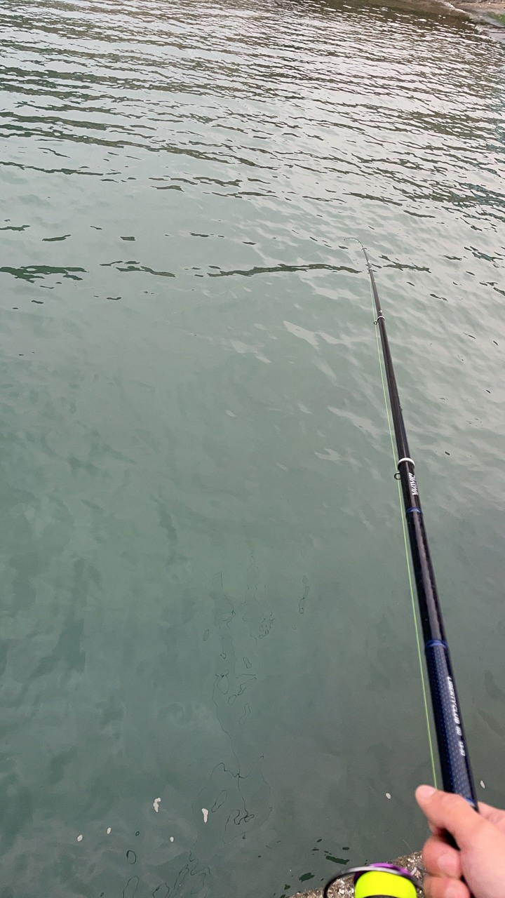 磯釣沒釣過像樣的