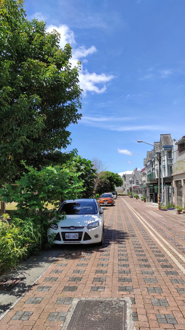 My 15' Focus TDCi 9W 台東+縣道197台紐西蘭之旅