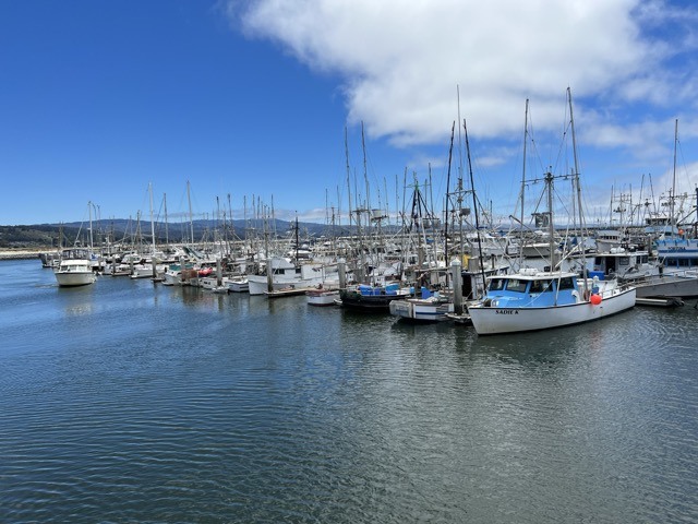 (2022夏) 🚴🇺🇸 半月灣 Half Moon Bay 夏日漫騎 (2022/7/7)
