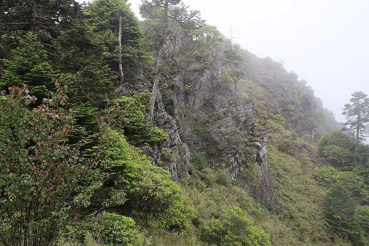 百岳練習生,【雪山主東】第一次住山屋負重登山2天2夜紀錄