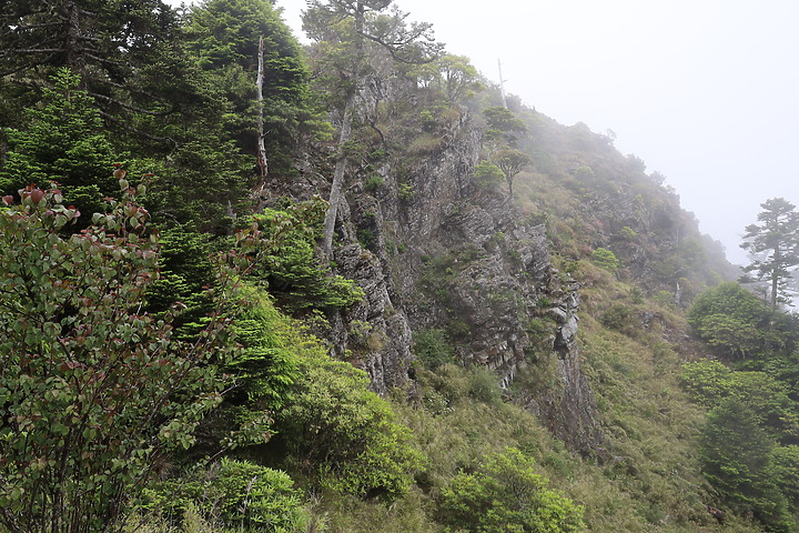 百岳練習生，【雪山主東】第一次住山屋負重登山2天2夜紀錄