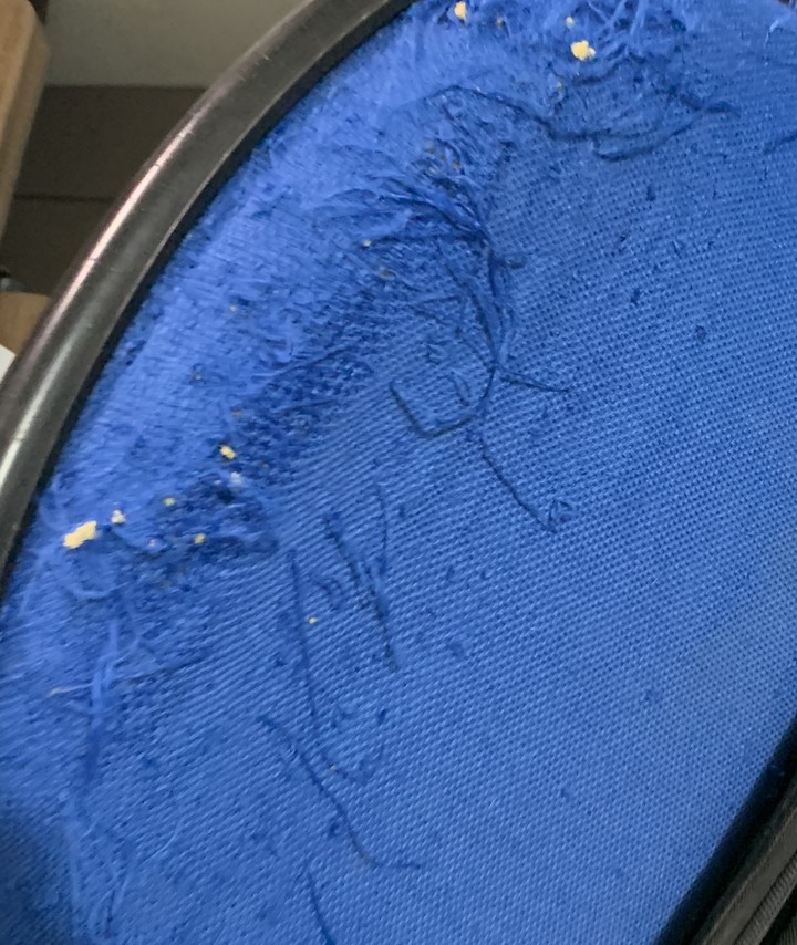 無敵貓爪或永恆貓抓皮
