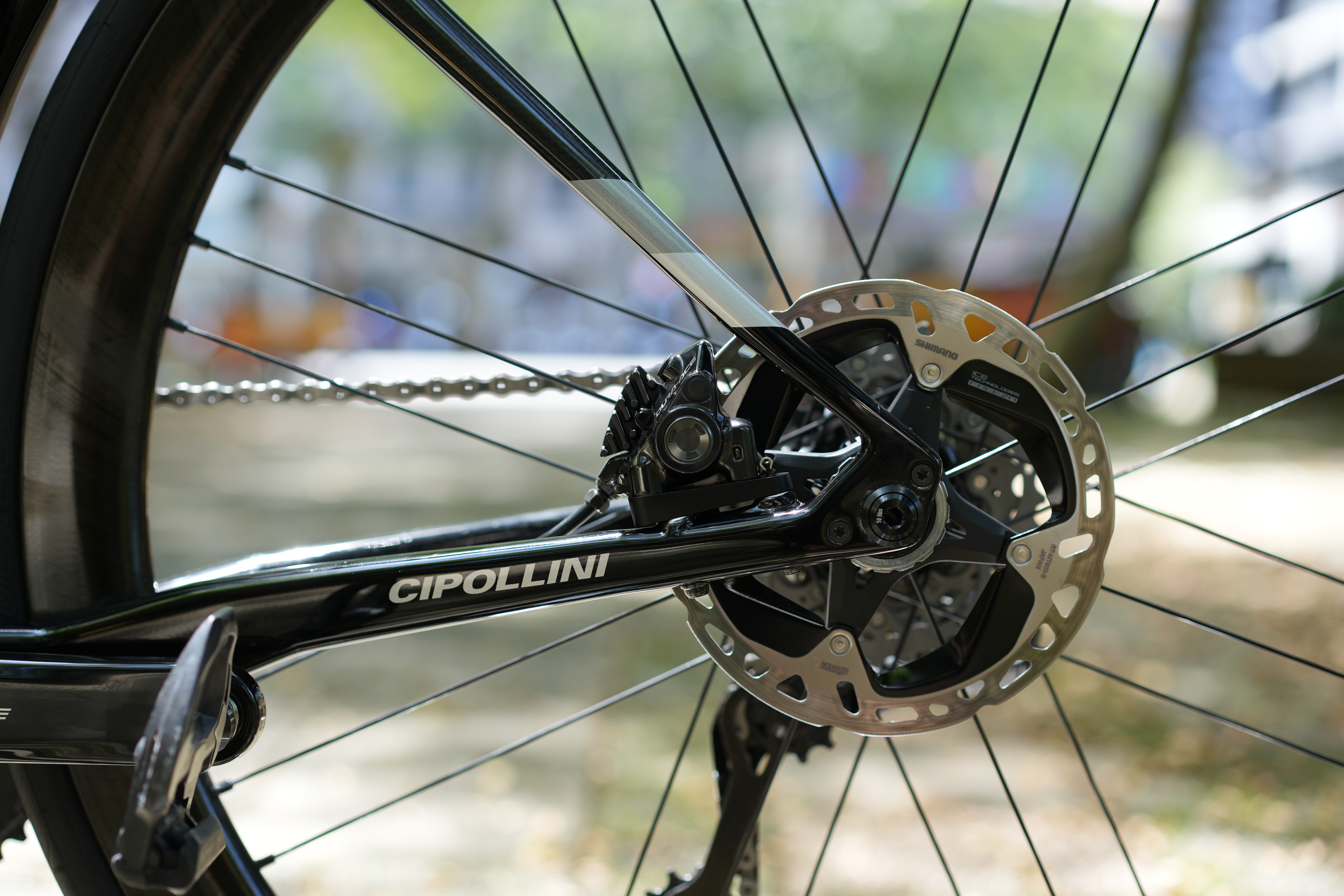 [開箱]我的第十二台公路車 CIPOLLINI BOND 2
