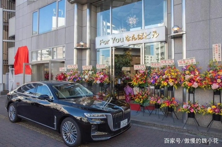 紅旗 中國車 出不去歐洲 ?