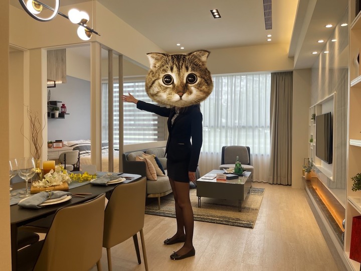 桃園 逸偉‧淳青賞屋