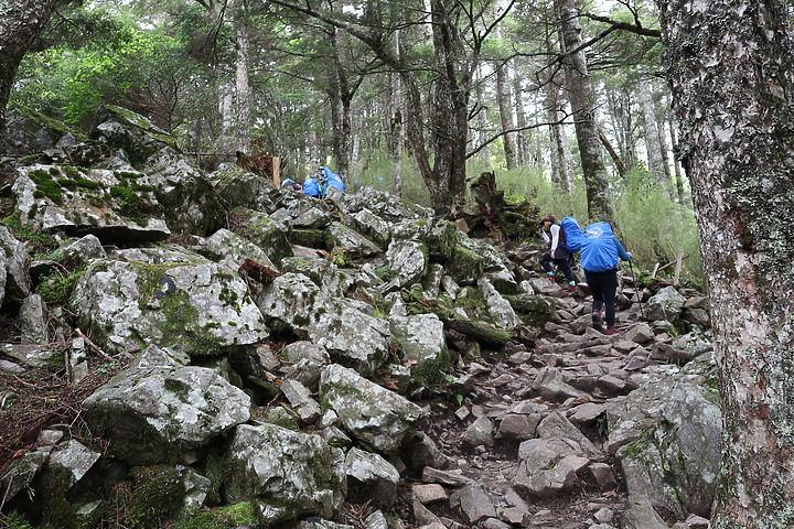 百岳練習生,【雪山主東】第一次住山屋負重登山2天2夜紀錄