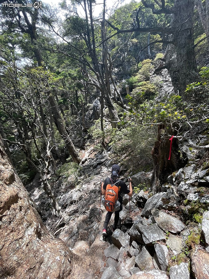 武陵二秀~桃山+池有山