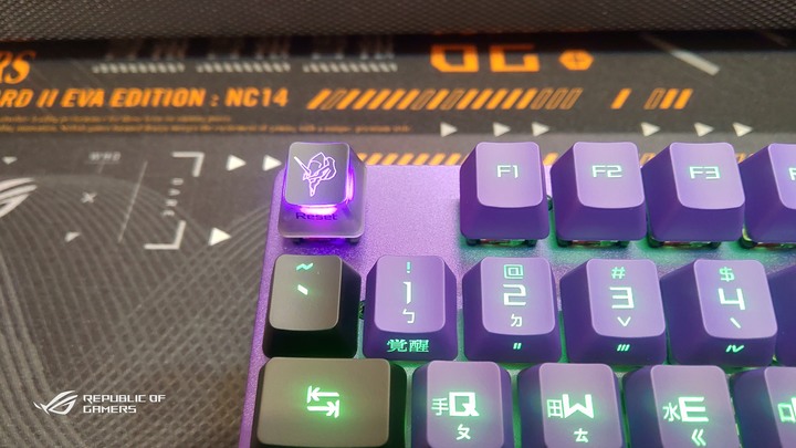 (簡單開箱)ROG x EVA Scope RX & ROG Scabbard II EVA 雙防水鍵盤&滑鼠墊