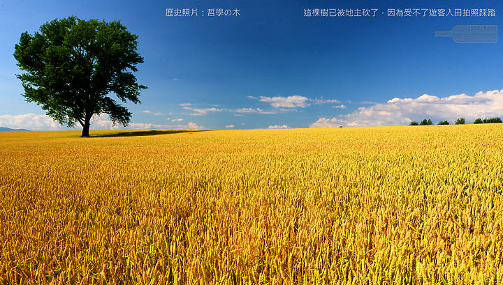 日本北海道自駕旅遊攝影照片回顧：函館、美瑛、富良野 (影片模式)