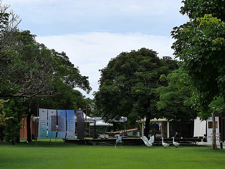 臺東市 台東美術館 — 後山唯一縣級美術館,有著茂密樹林與特色館室之打卡景點 — 臺東兩天一夜鐵道快閃行旅 (五)