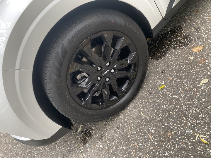 2022 KIA Carnival 大白 Platinum (澳洲墨爾本的遲開箱)