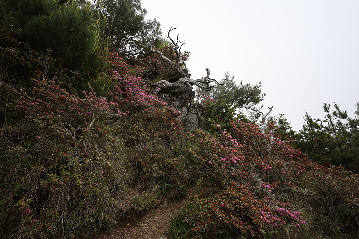 百岳練習生，【雪山主東】第一次住山屋負重登山2天2夜紀錄