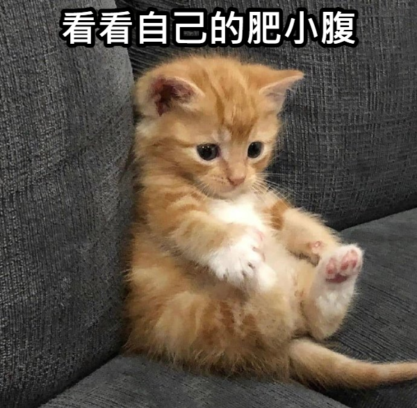 豆腐女孩的養成計劃