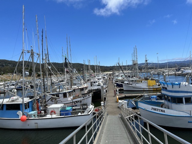(2022夏) 🚴🇺🇸 半月灣 Half Moon Bay 夏日漫騎 (2022/7/7)