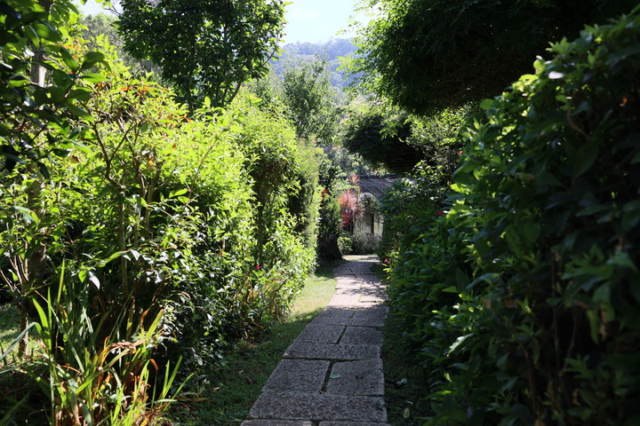 【旅遊文】盛夏消暑好去處 – 興福寮花卉綜合農場一日遊