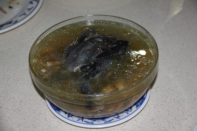 臺灣王爺總廟-北門南鯤鯓代天府騎旅