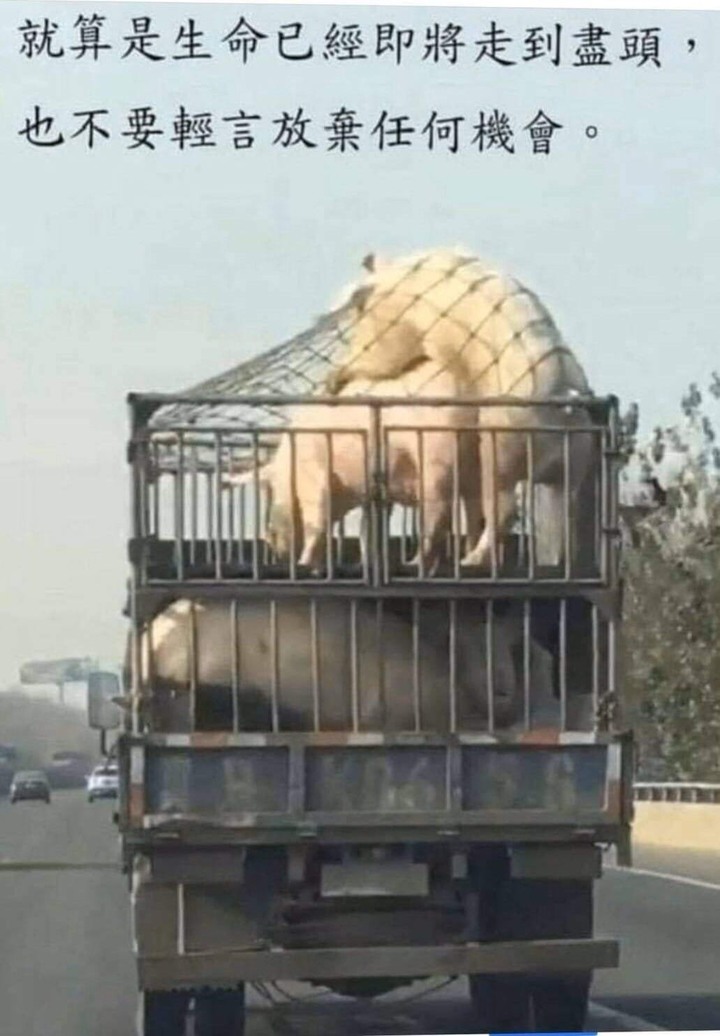 大家說這種人生哲學要不要學起來