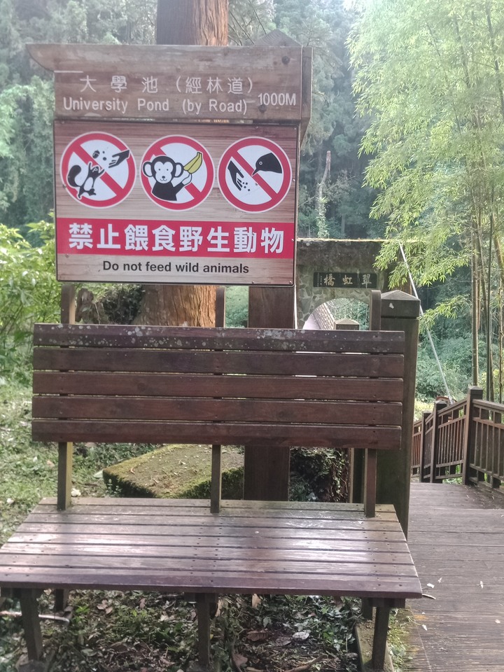 去溪頭一定要帶
