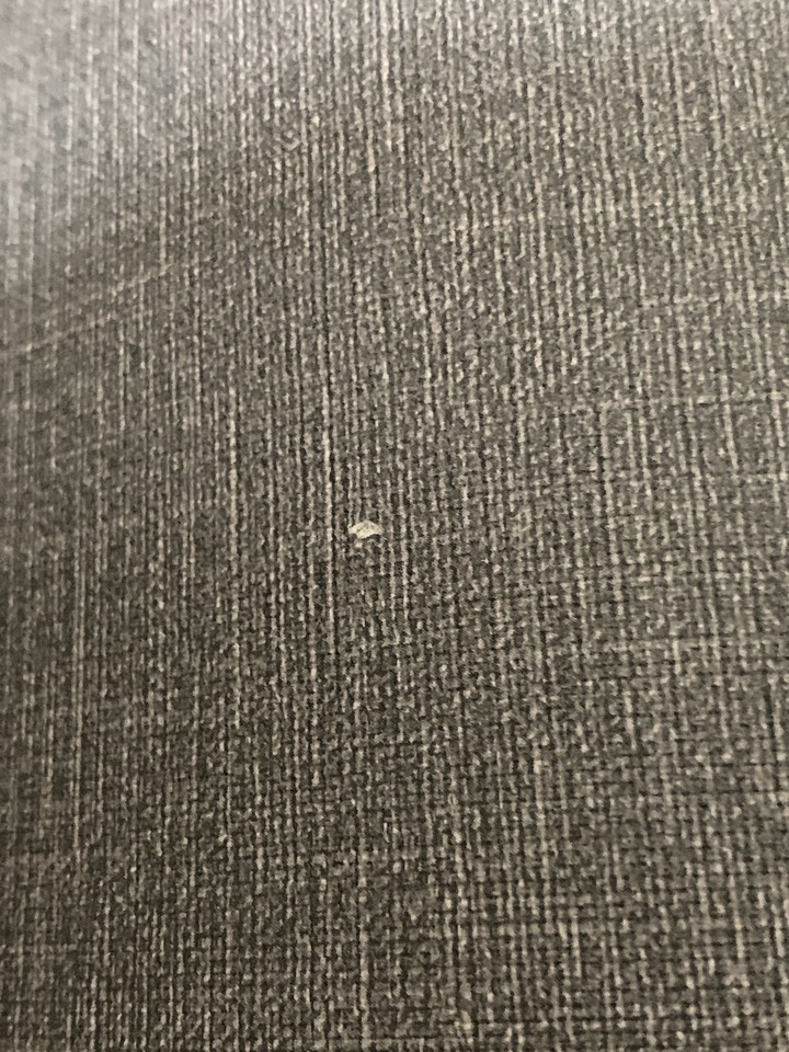 無敵貓爪或永恆貓抓皮