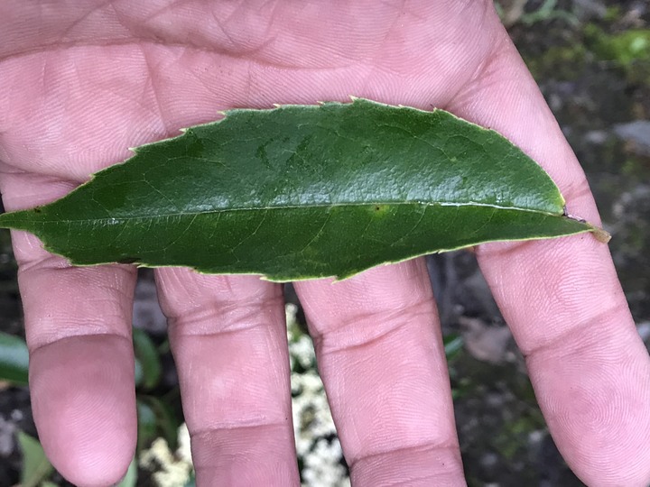 不可能雨天不騎的南橫吉普賽