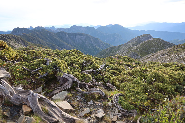 百岳練習生,【雪山主東】第一次住山屋負重登山2天2夜紀錄