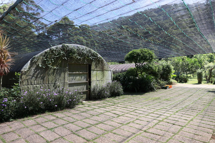 【旅遊文】盛夏消暑好去處 – 興福寮花卉綜合農場一日遊