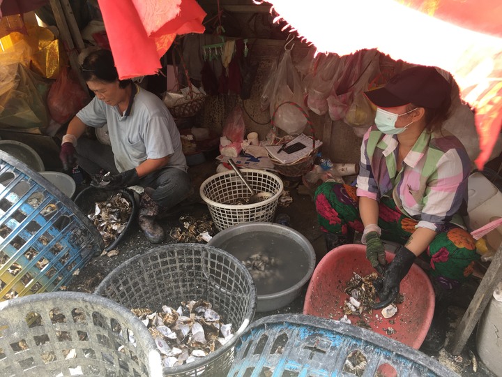 臺灣王爺總廟-北門南鯤鯓代天府騎旅