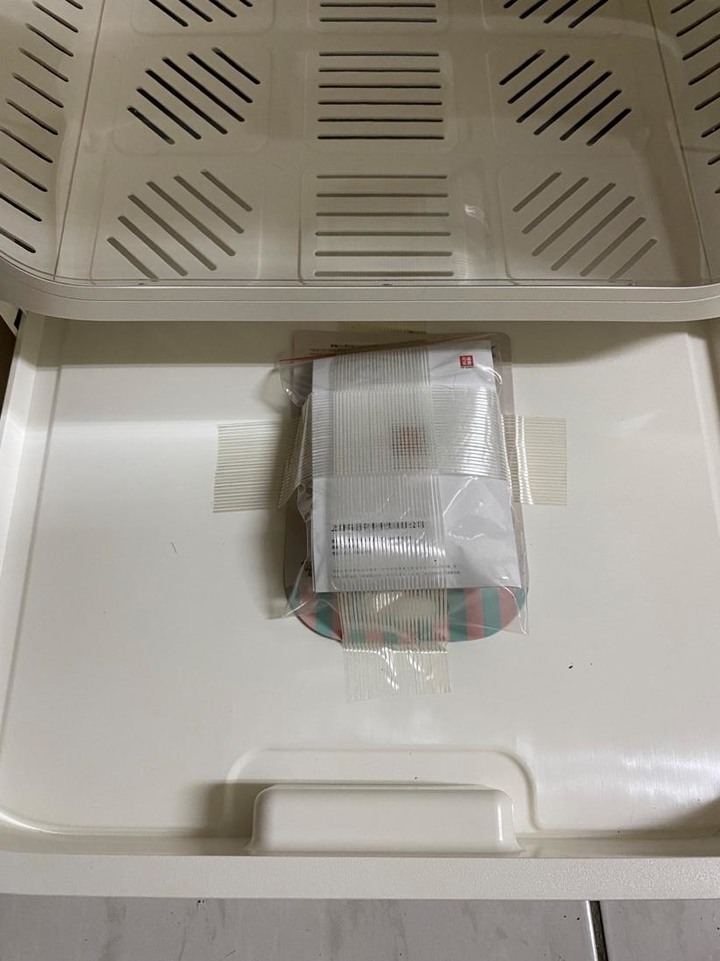 寵物智能烘乾機初體驗