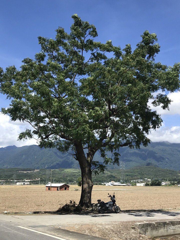 （內有比基尼女騎士）小徑檔車志氣高之南橫埡口行