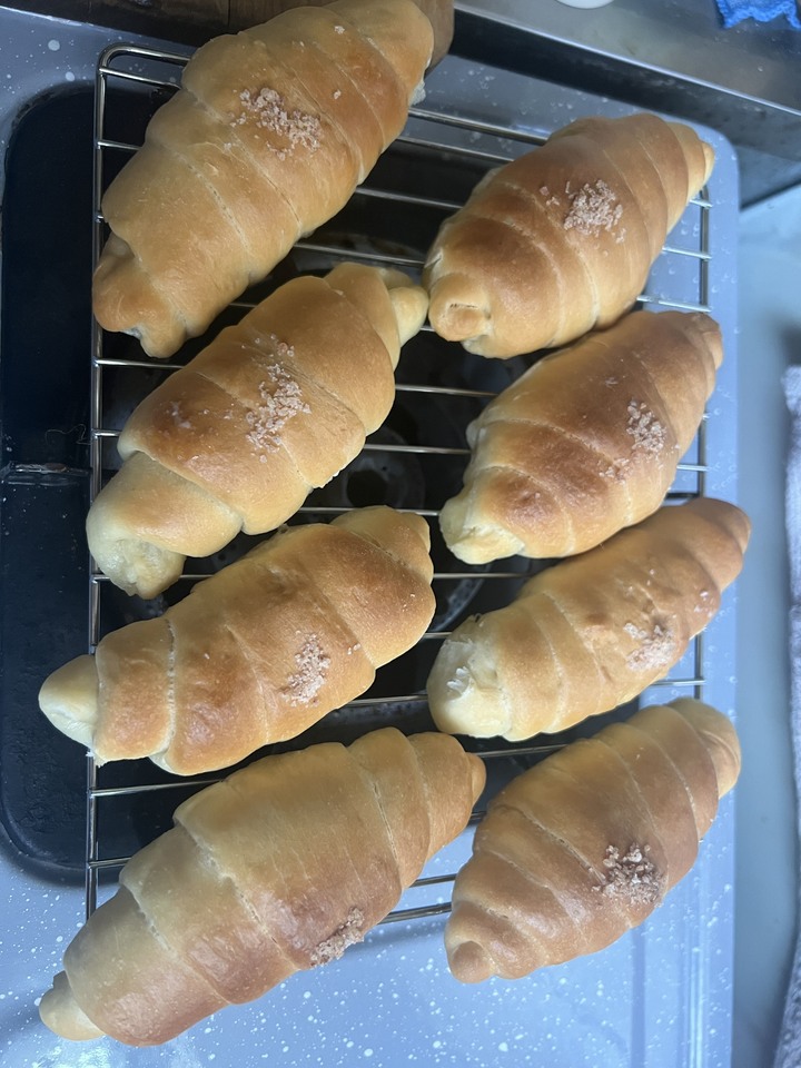 自己做零失敗海鹽麵包(分享食譜)