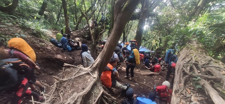 格德火山 - Gunung Gede (印尼Cianjur)