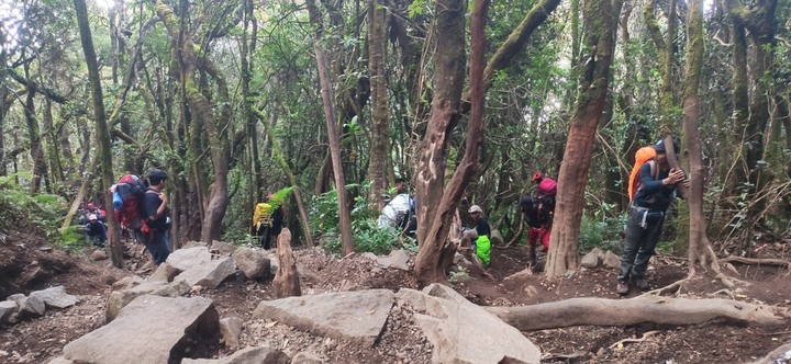 格德火山 - Gunung Gede (印尼Cianjur)
