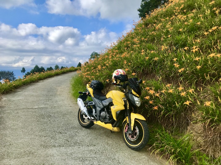 花蓮兩大金針山環繞（不塞）路線