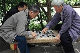 公園裡在下棋的阿伯，棋力是不是很高啊?