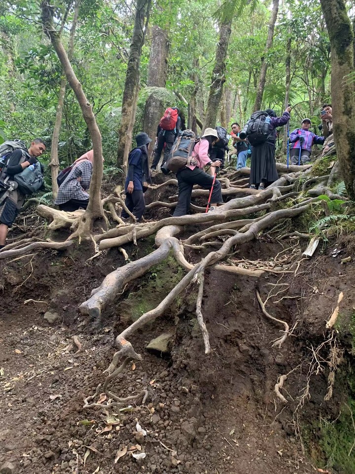 格德火山 - Gunung Gede (印尼Cianjur)